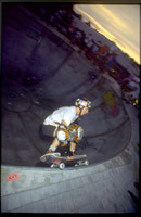 STEVE ALBA SKATEBOARDER